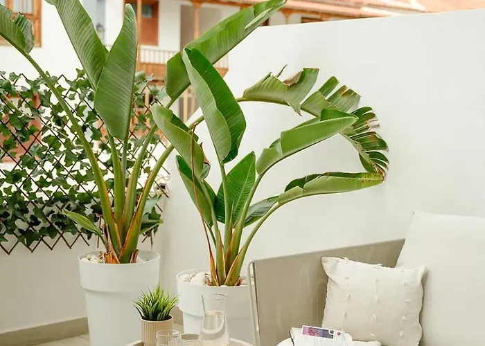 Home2rest At Gigantes - 1 Min To Beach, Restaurants, Center - 1bdr *